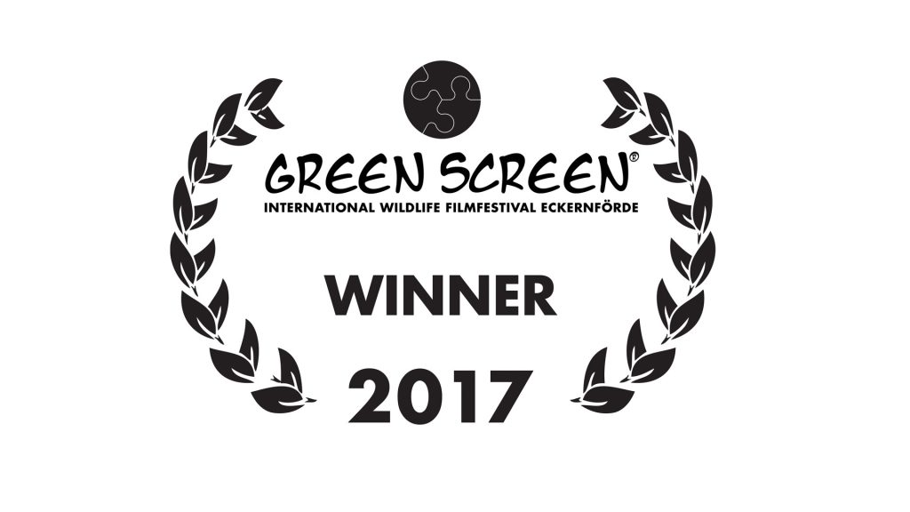 GreenScreen- Winner-2017-Megeti-Africas Lost Wolf