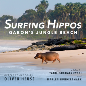 Gabon's Jungle Beach